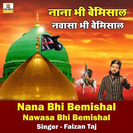 Nana Bhi Bemishal Nawasa Bhi Bemishal | Boomplay Music