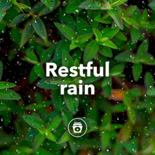 Restful Rain