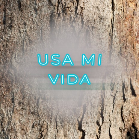 Usa Mi Vida | Boomplay Music