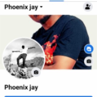 Phoenix jay