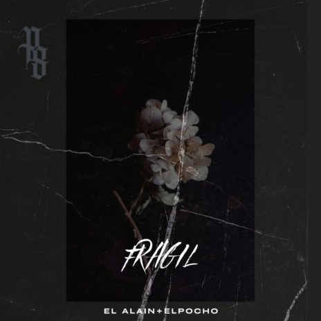 Frágil ft. El Alain | Boomplay Music