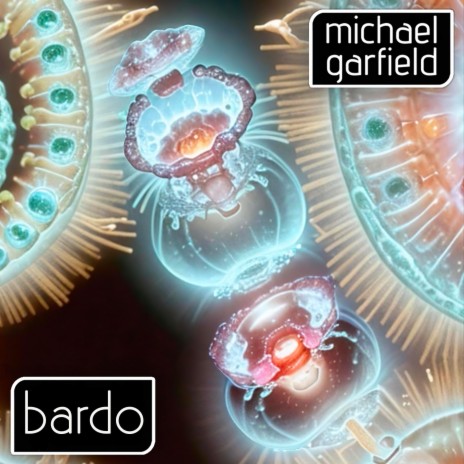 Bardo | Boomplay Music