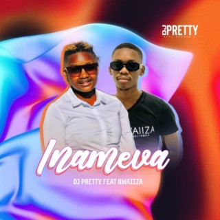 Inameva (feat. Nwaiiza) (Gqom Mix)