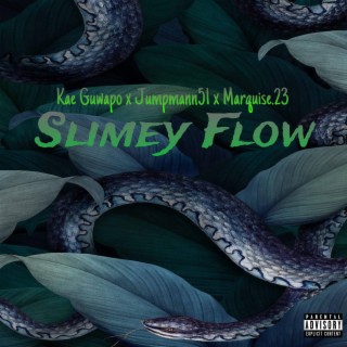 Slimey Flow