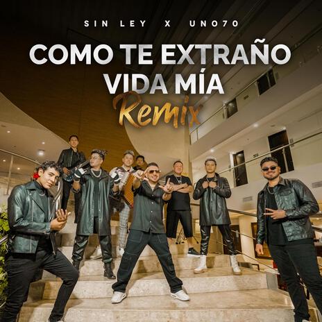 Como Te Extraño Vida Mía (Remix) ft. Agrupación Sin Ley | Boomplay Music