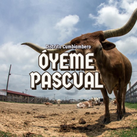 Oyeme Pascual