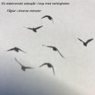 Fåglar i diverse mönster