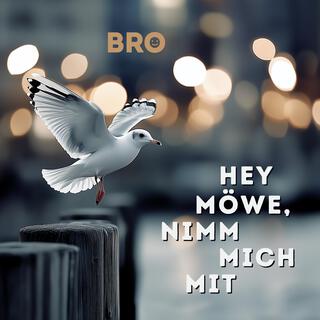 Hey Möwe, nimm mich mit