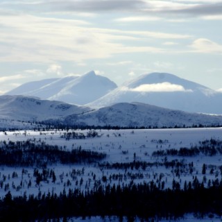 The peaks of snow