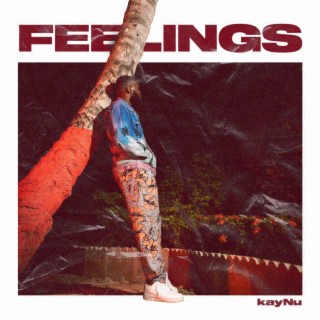 Feelings