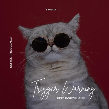 TRIGGER WARNING (Single) | Boomplay Music