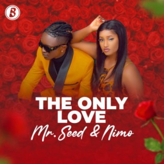 The Only One by Mr. Seed & Nimo