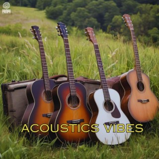 Acoustics Vibes