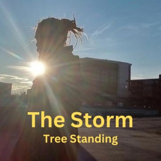 The Storm lyrics | Boomplay Music