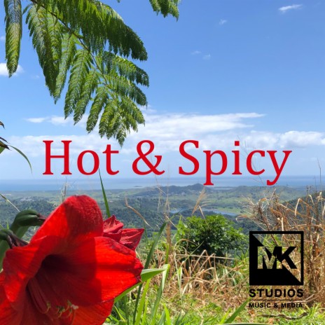 Hot & Spicy | Boomplay Music