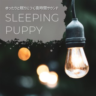 ゆったりと眠りにつく夜時間サウンド