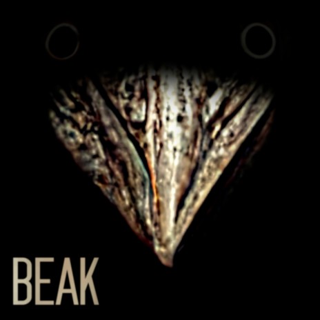 Beak | Boomplay Music