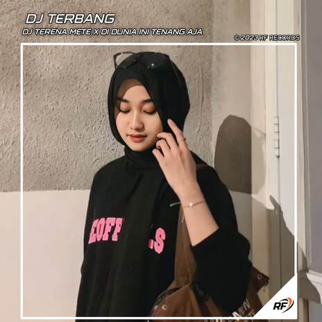 DJ TERENA METE X DI DUNIA INI TENANG AJA | Boomplay Music