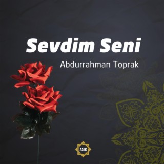 Sevdim Seni