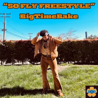 So Fly Freestyle lyrics | Boomplay Music