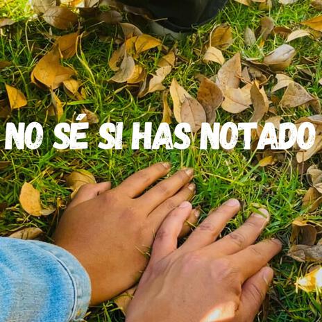 No sé si has notado | Boomplay Music