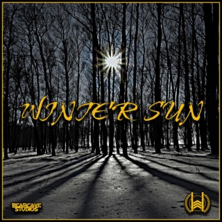 Winter Sun