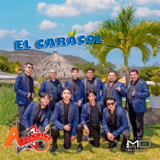 El Caracol lyrics | Boomplay Music