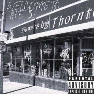 Welcome To The 3: BG City Chronicles (Vol 1.)