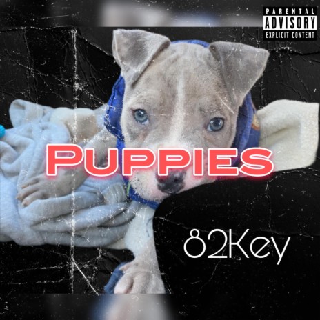 Puppies | Boomplay Music