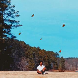 The Kid With Butterflies