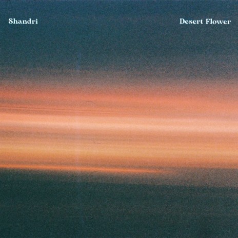 Desert Flower | Boomplay Music