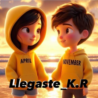 Llegaste