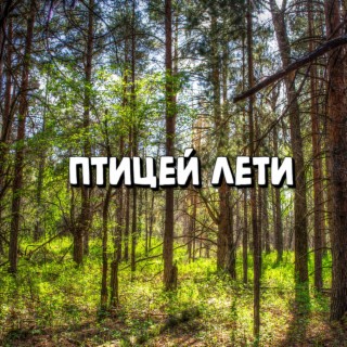 Птицей лети