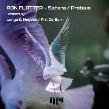 Proteus (Phil de Burn Space Travel Remix)