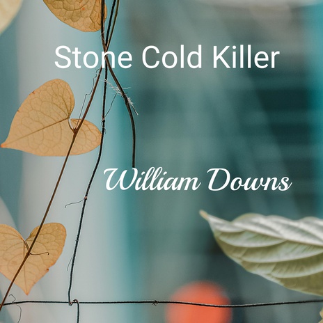 Stone Cold Killer | Boomplay Music