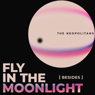 Fly in the Moonlight (Besides)