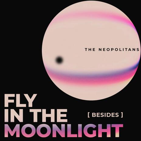 Fly in the Moonlight (Acoustic) | Boomplay Music