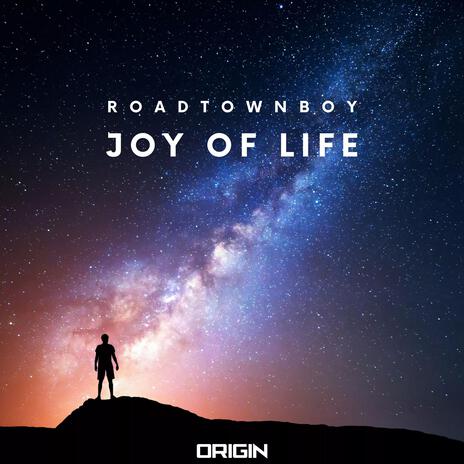 Joy of Life | Boomplay Music