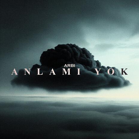 ANLAMI YOK | Boomplay Music