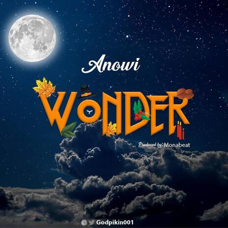 Wonder | Boomplay Music