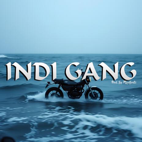 Indi Gang | Boomplay Music