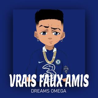 VRAIS FAUX AMIS