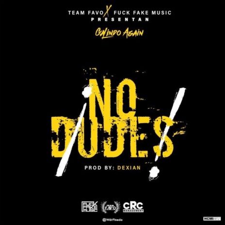 No Dudes | Boomplay Music