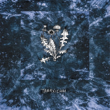 Taraxicum | Boomplay Music