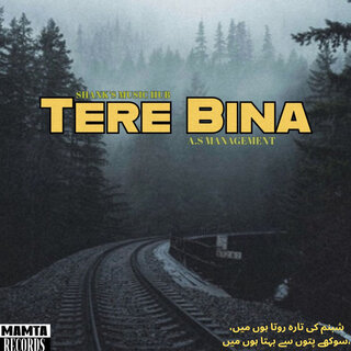 Tera Bina