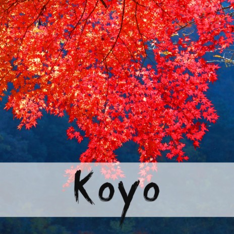 Koyo | Boomplay Music