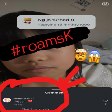 #kkamiiK #roamsK (DISS) | Boomplay Music