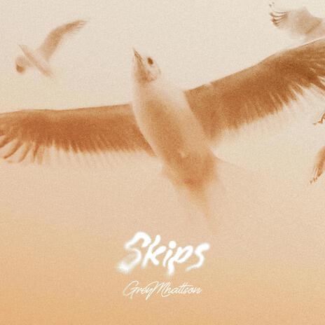 Skips | Boomplay Music