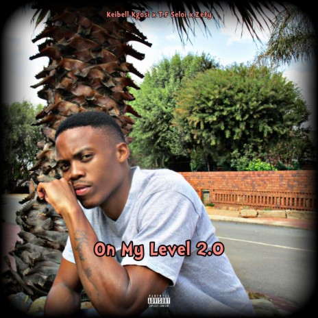 On My Level 2.0 ft. T.F Seloi & Zety | Boomplay Music