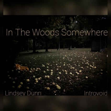 In The Woods Somewhere ft. Lindsey Dunn | Boomplay Music